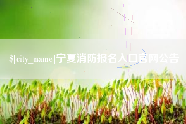 海南宁夏消防报名入口官网公告
