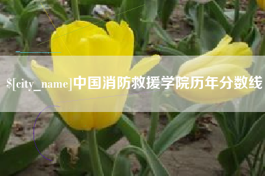 海南中国消防救援学院历年分数线