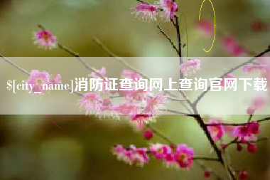 海南消防证查询网上查询官网下载