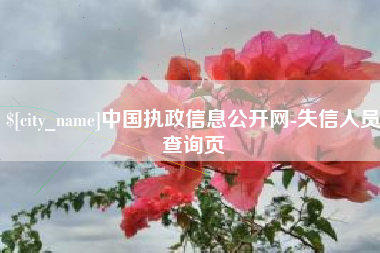 海南中国执政信息公开网-失信人员查询页