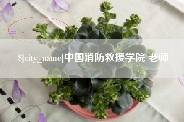 海南中国消防救援学院 老师