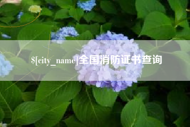 海南全国消防证书查询