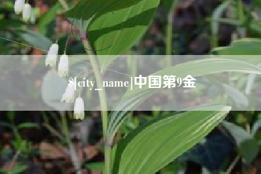 海南中国第9金