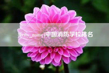 海南中国消防学校排名
