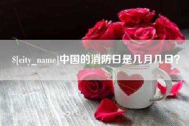 海南中国的消防日是几月几日？