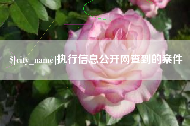 海南执行信息公开网查到的案件