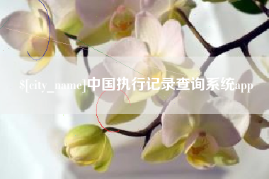 海南中国执行记录查询系统app