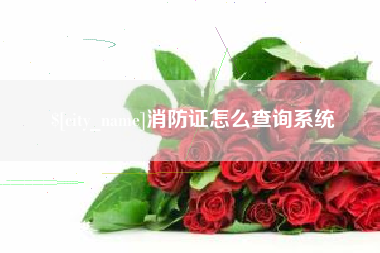 海南消防证怎么查询系统