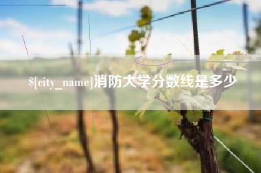 海南消防大学分数线是多少