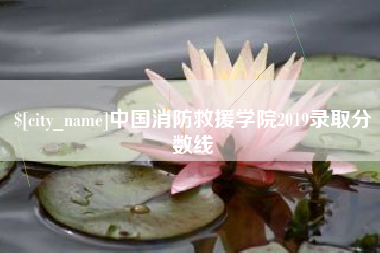 海南中国消防救援学院2019录取分数线