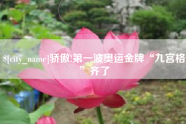 海南骄傲!第一波奥运金牌“九宫格”齐了