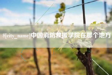 海南中国消防救援学院在那个地方