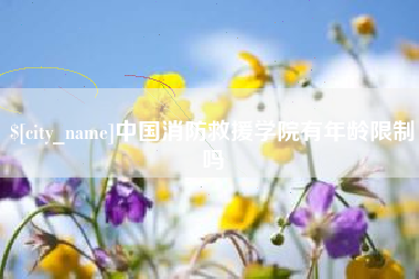 海南中国消防救援学院有年龄限制吗