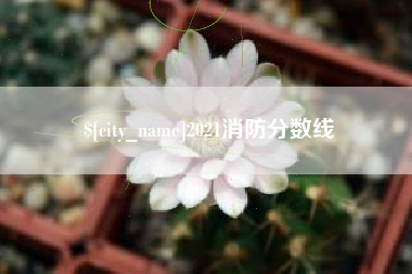 海南2021消防分数线