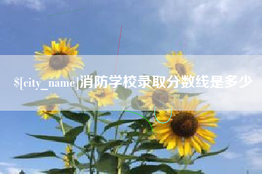 海南消防学校录取分数线是多少