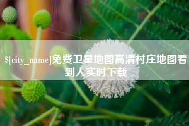 海南免费卫星地图高清村庄地图看到人实时下载
