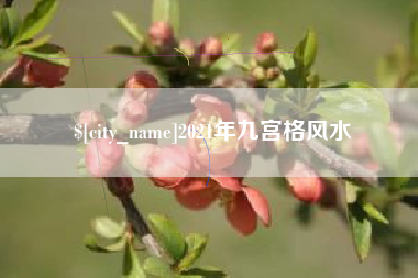 海南2021年九宫格风水