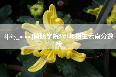 海南消防学院2024年招生云南分数线