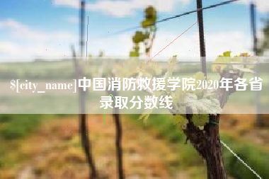 海南中国消防救援学院2020年各省录取分数线