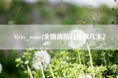 海南全国消防日是第几天？