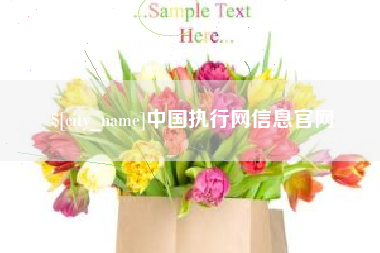 海南中国执行网信息官网