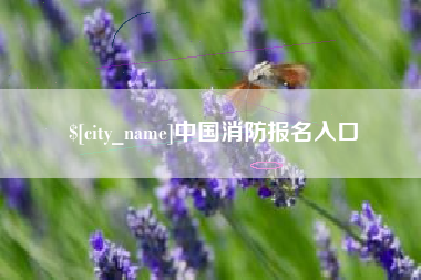 海南中国消防报名入口