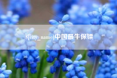 海南中国最牛保镖