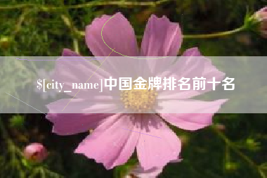 海南中国金牌排名前十名