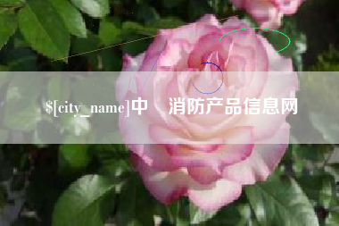 海南中囯消防产品信息网