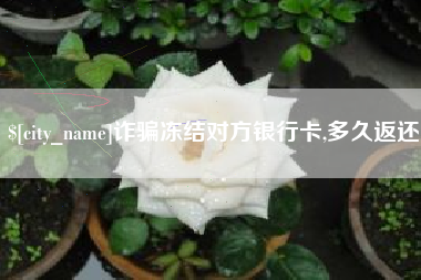海南诈骗冻结对方银行卡,多久返还