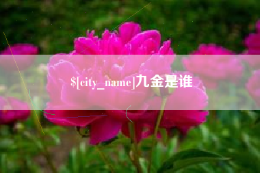 海南九金是谁