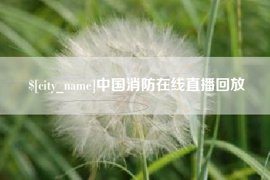 海南中国消防在线直播回放