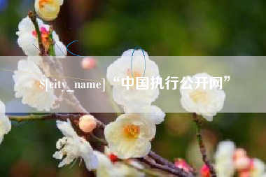海南“中国执行公开网”