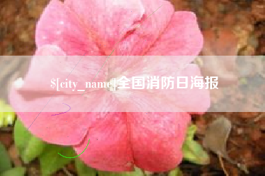 海南全国消防日海报