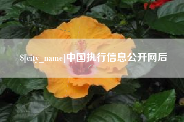 海南中国执行信息公开网后