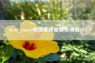 海南中国金牌是哪些项目2021