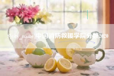 海南中国消防救援学院分数2020