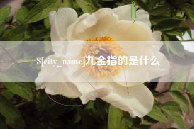 海南九金指的是什么