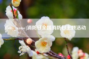 海南消防日全国消防日主题活动