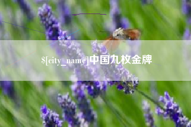海南中国九枚金牌