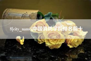 海南中国消防学院排名前十