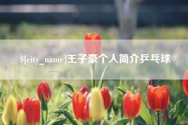 海南王子豪个人简介乒乓球