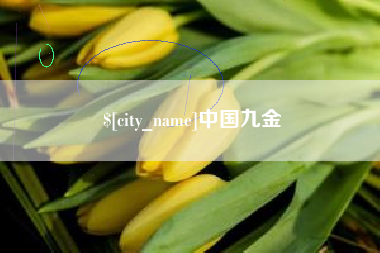 海南中国九金