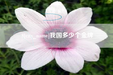 海南我国多少个金牌