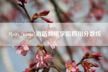 海南消防救援学院四川分数线