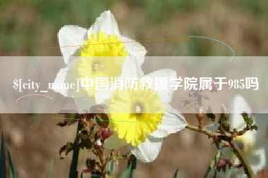 海南中国消防救援学院属于985吗