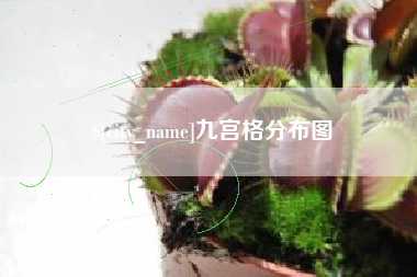 海南九宫格分布图