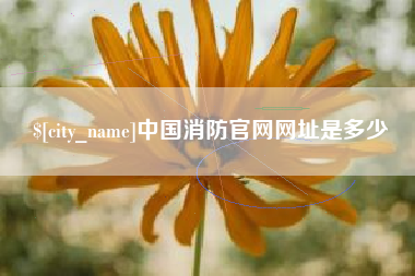 海南中国消防官网网址是多少