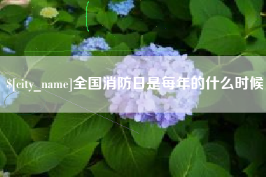 海南全国消防日是每年的什么时候