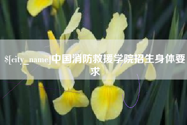 海南中国消防救援学院招生身体要求